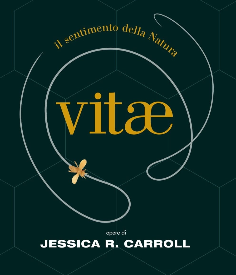 Mostra 'VITAE. Il sentimento della Natura' di Jessica R. Carroll