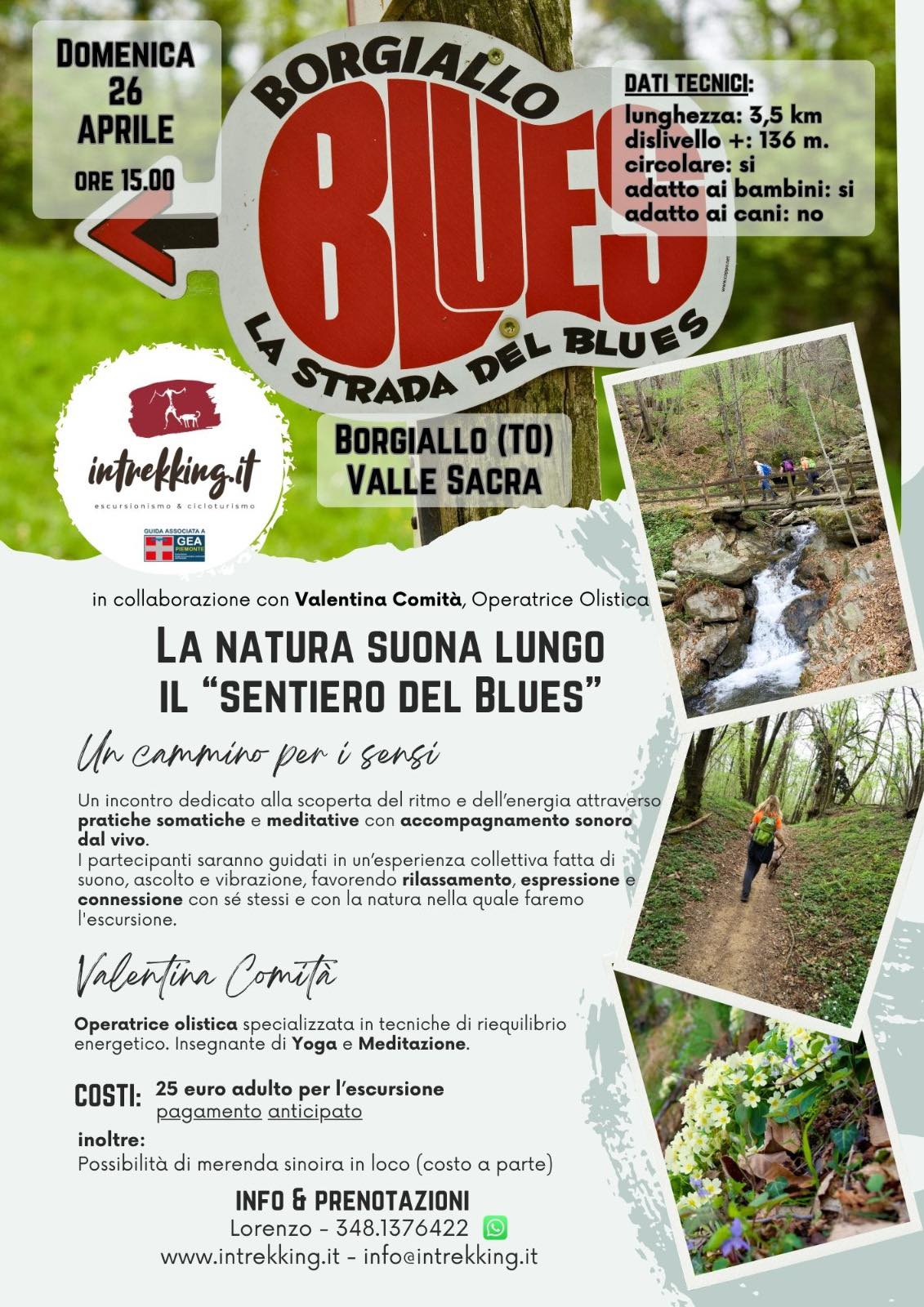 La Natura Suona Lungo il Sentiero del Blues