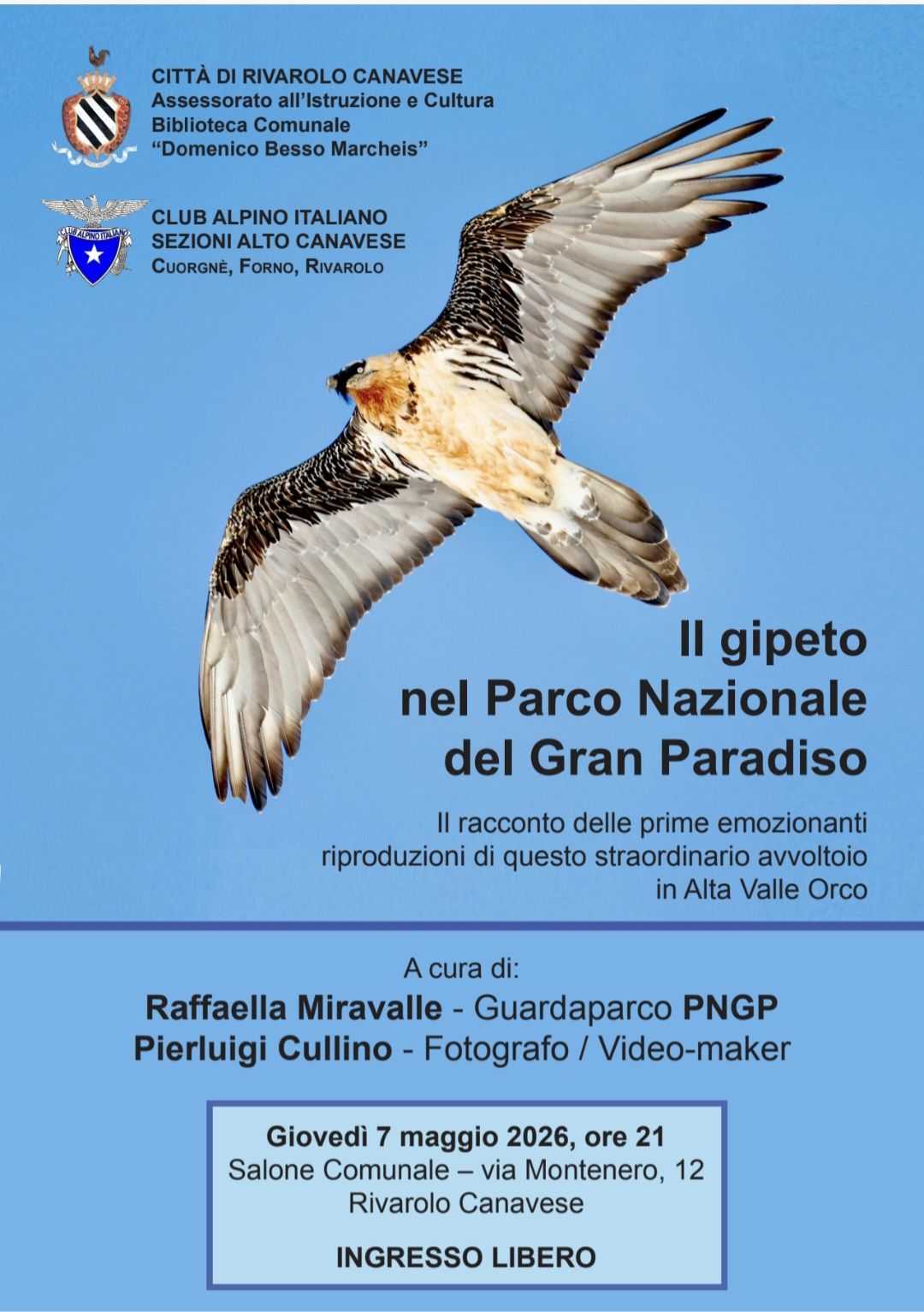 Il Gipeto nel Parco Nazionale del Gran Paradiso